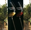 Immagine di Antiqua Vinea