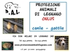 Immagine di Protezione Animali di Legnano Onlus