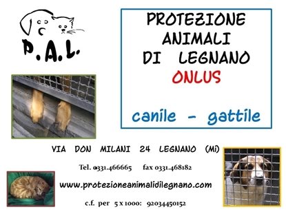 Immagine di Protezione Animali di Legnano Onlus