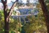 Immagine di Alla Scoperta di Gravina in Puglia
