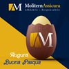 Immagine di MoliternAssicura