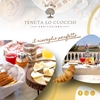 Immagine di Tenuta lo Cuoccio